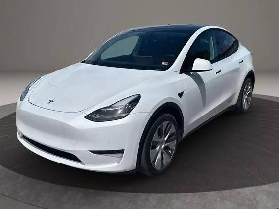 TESLA MODEL Y 2021 5YJYGDEE1MF068681 image